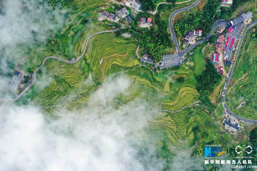 【“飞阅”中国】湖北蕲春:农民丰收节“农味”浓