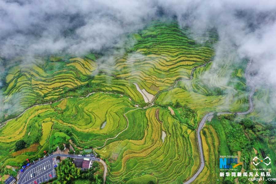 【“飞阅”中国】湖北蕲春:农民丰收节“农味”浓