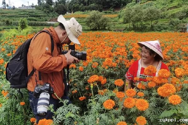 “我是记者”|2020年记者节特辑 “我是记者”|2020年记者节特辑