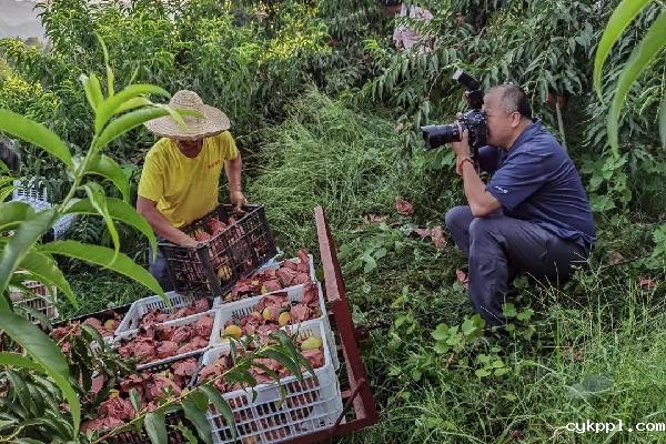 “我是记者”|2020年记者节特辑 “我是记者”|2020年记者节特辑