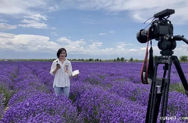 “我是记者”|2020年记者节特辑 “我是记者”|2020年记者节特辑