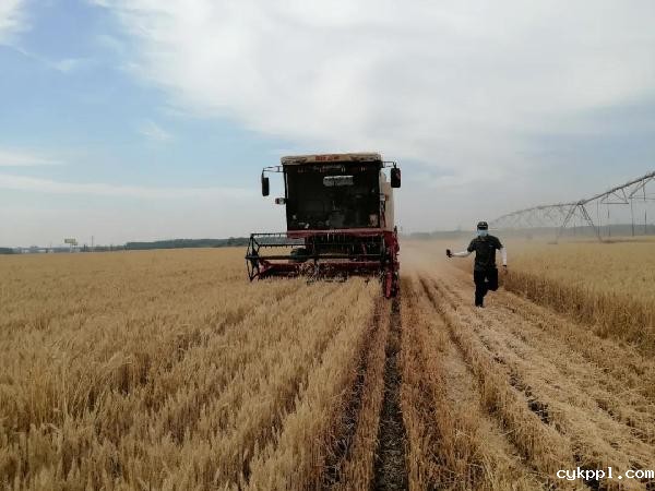 “我是记者”|2020年记者节特辑 “我是记者”|2020年记者节特辑