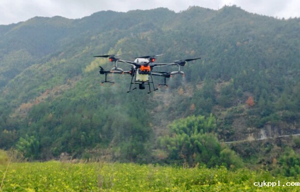 高效精准节能又环保！一县将对购无人机防治的茶园出资扶持