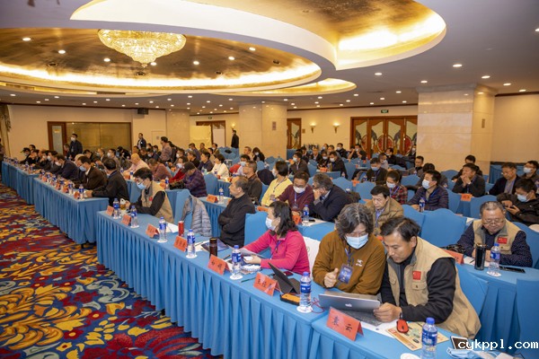 2020中国新闻摄影高峰论坛在北京通州举办