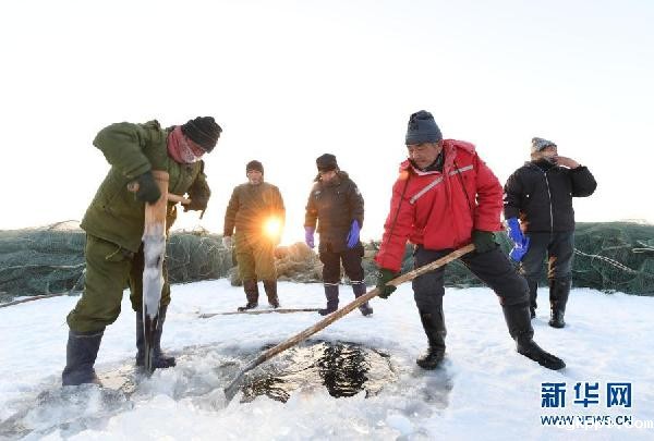 新疆乌伦古湖迎来“冬捕”季