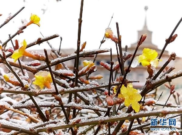 北京降春雪