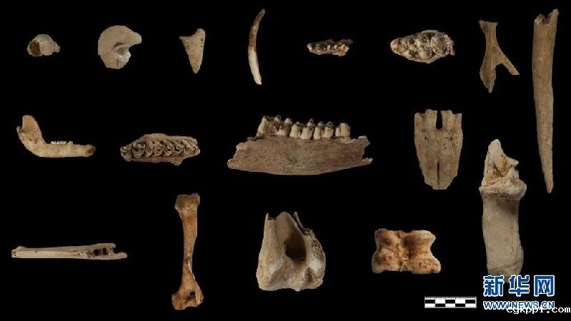 新华全媒+|“洞”见四万年——探访贵州贵安新区招果洞遗址