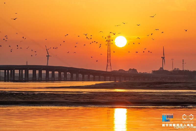 【“飞阅”中国】威海的桥 跨海的念 发展的弦