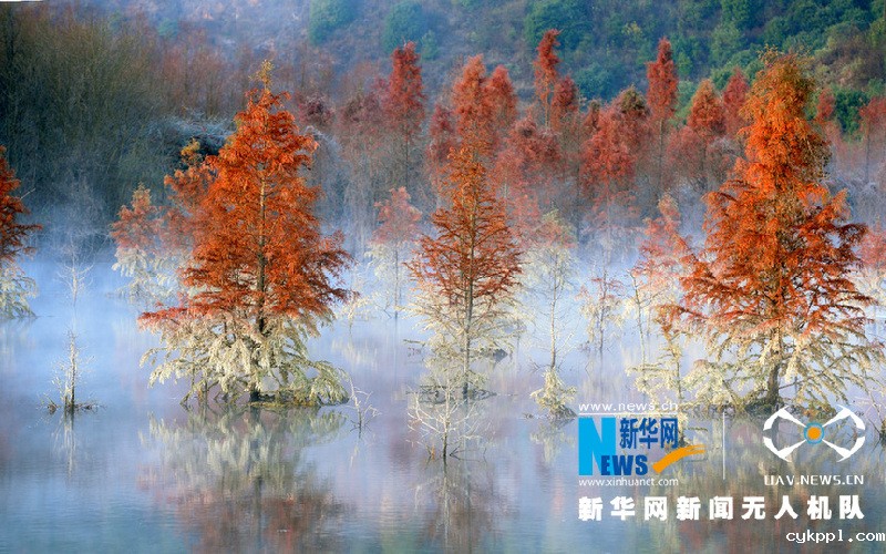 【“飞阅”中国】这就是“彩”云南美丽的样子！