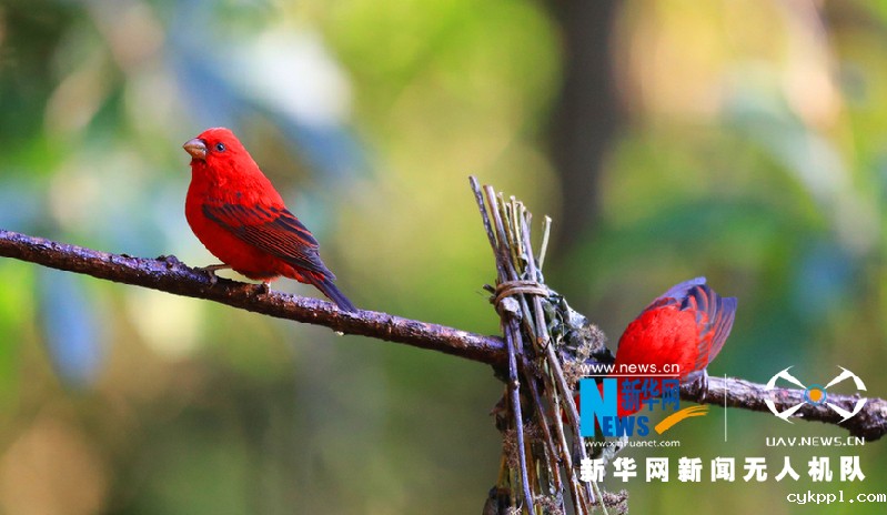 【“飞阅”中国】这就是“彩”云南美丽的样子！