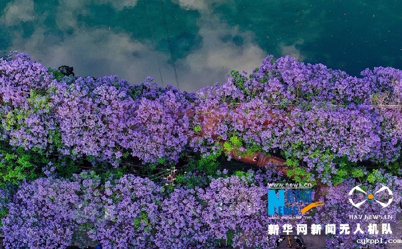 【“飞阅”中国】这就是“彩”云南美丽的样子！