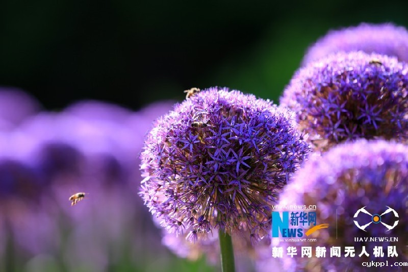 【“飞阅”中国】这就是“彩”云南美丽的样子！