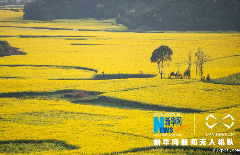 【“飞阅”中国】这就是“彩”云南美丽的样子！