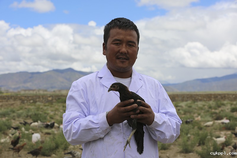 西藏那些打动人心的笑脸