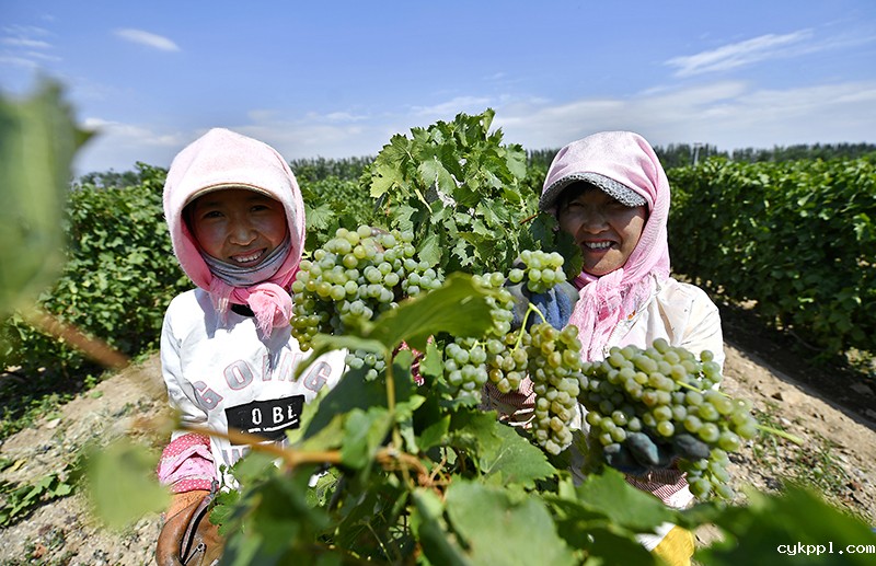 闽宁镇：荒滩上崛起美丽家园