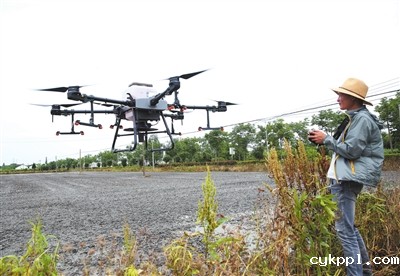 无人机播种水稻