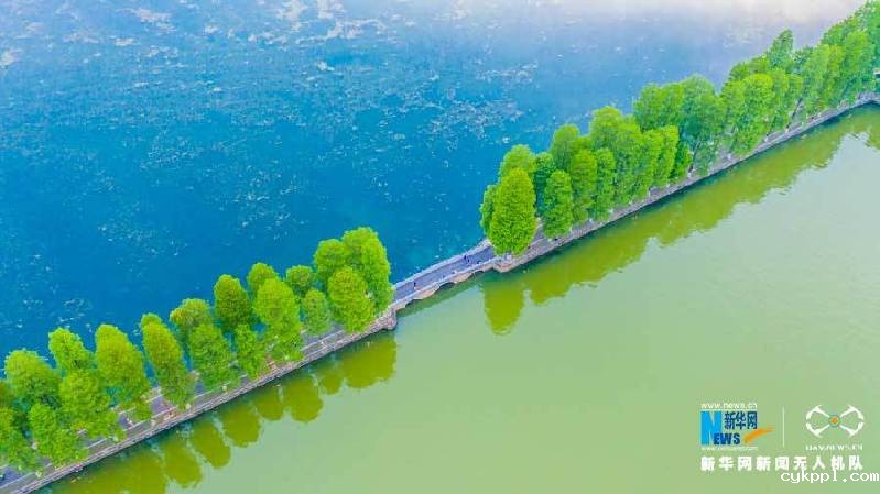 【“飞阅”中国】晚霞映照 如画东湖