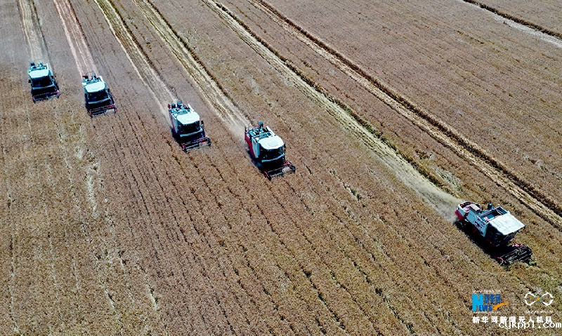【“飞阅”中国】麦收“会战”