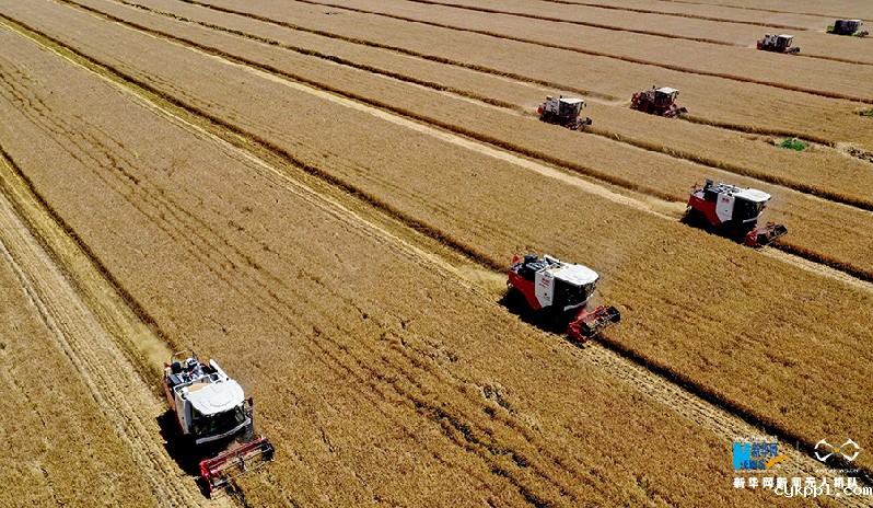 【“飞阅”中国】麦收“会战”