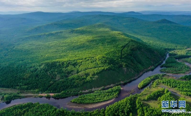 夏日林海景色美
