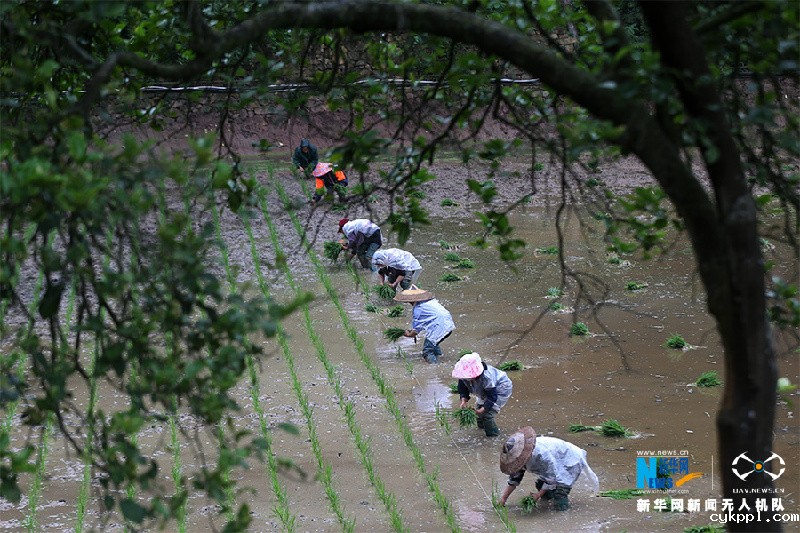 沿着高速看中国| 渝湘高速穿过重庆传统村落