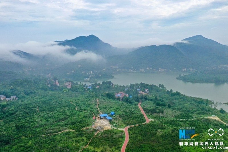 【“飞阅”中国】四川华蓥:石漠化土地变成“聚宝盆”