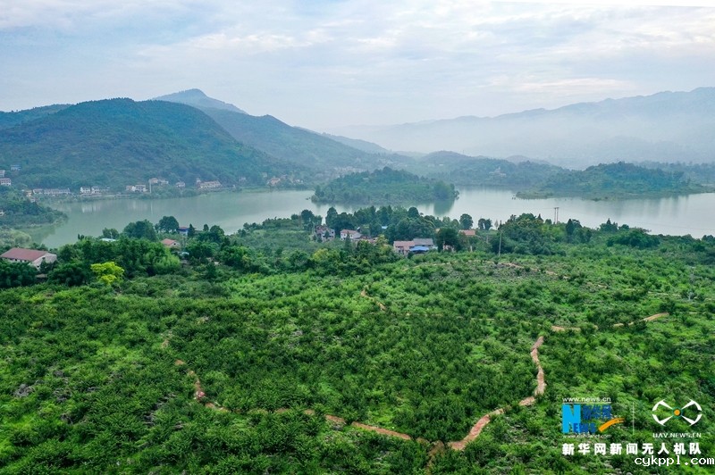 【“飞阅”中国】四川华蓥:石漠化土地变成“聚宝盆”