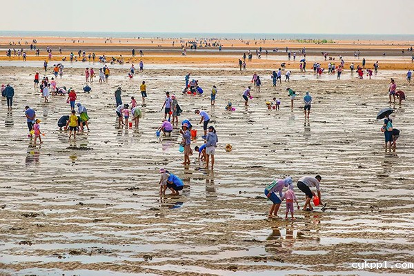 “生活在日照就是幸福”新闻摄影作品现场评选结果揭晓