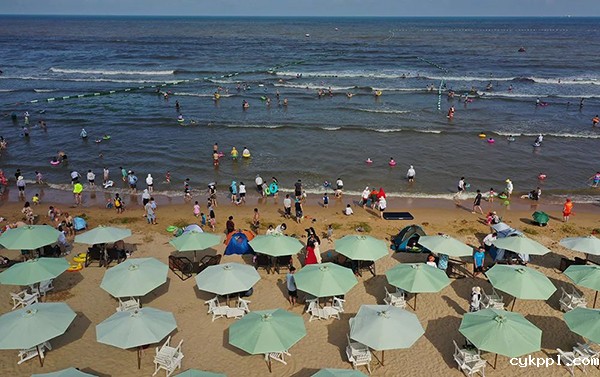 “生活在日照就是幸福”新闻摄影作品现场评选结果揭晓