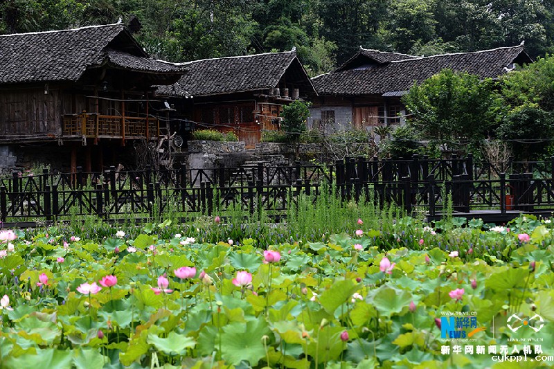 【“飞阅”中国】航拍重庆彭水500年古苗寨 生态保护展新韵