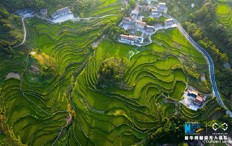 【“飞阅”中国】航拍重庆盐井梯田 俯瞰夏日田园美景