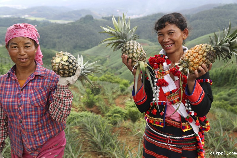 56个民族一起奔小康