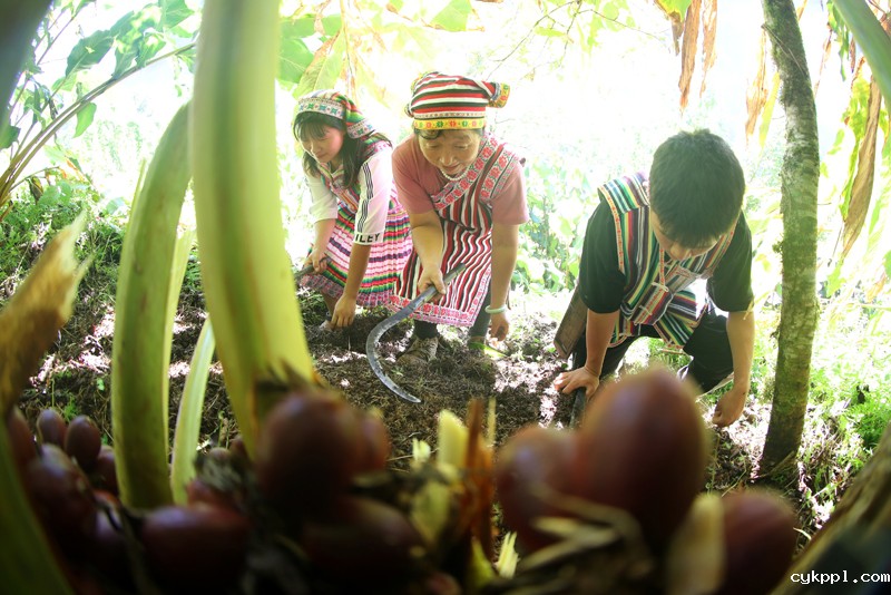 56个民族一起奔小康