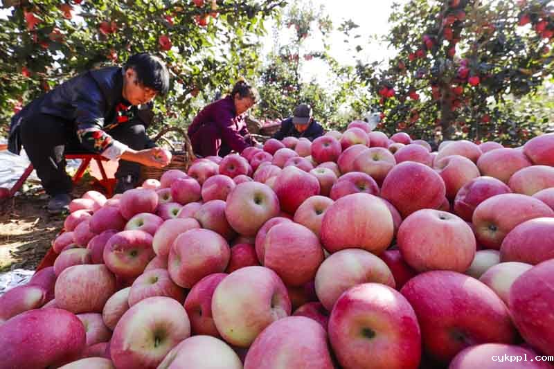 56个民族一起奔小康