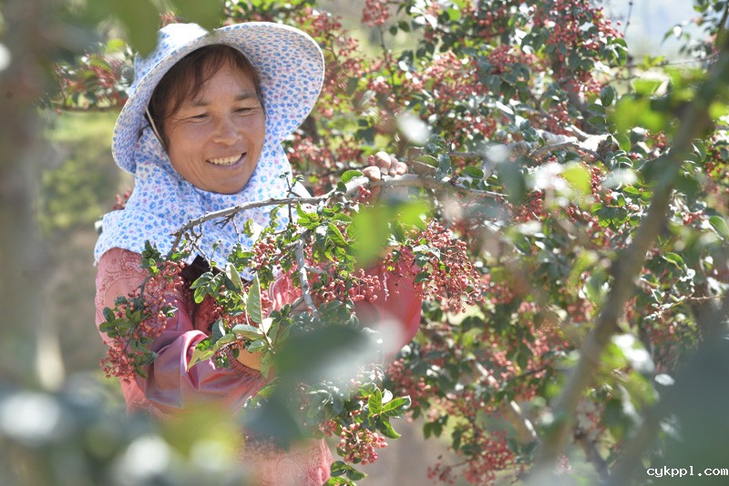 56个民族一起奔小康