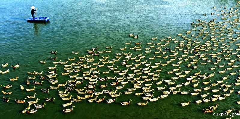 56个民族一起奔小康