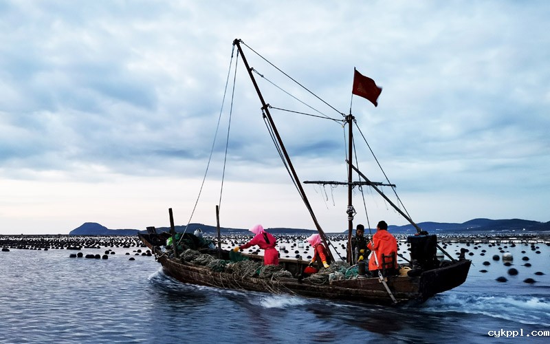 56个民族一起奔小康