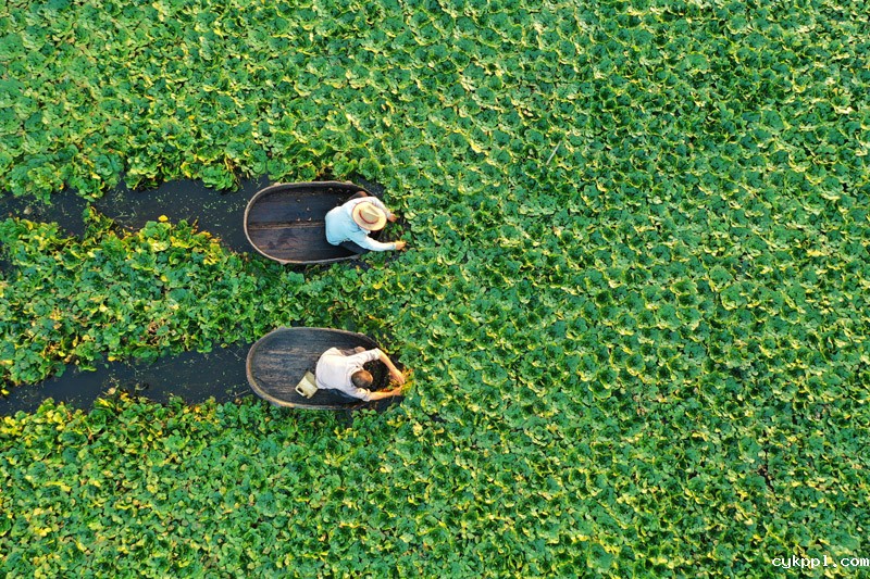 56个民族一起奔小康