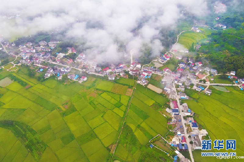 【“飞阅”中国】秋日田园稻花香