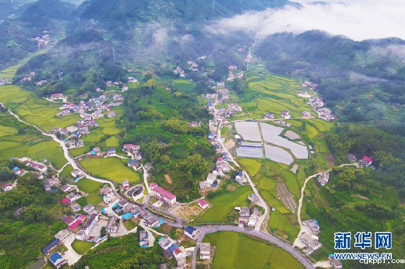 【“飞阅”中国】秋日田园稻花香