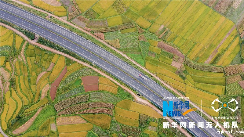 珠源大地尽染丰收色彩