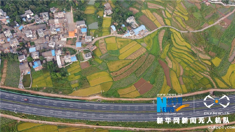 珠源大地尽染丰收色彩