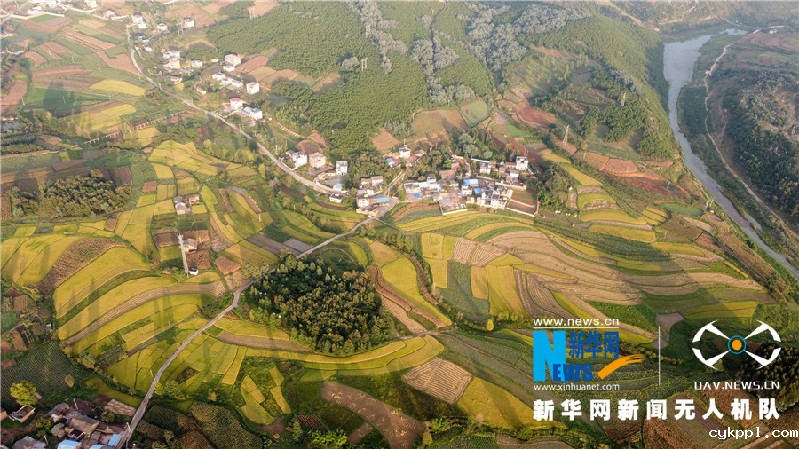 珠源大地尽染丰收色彩