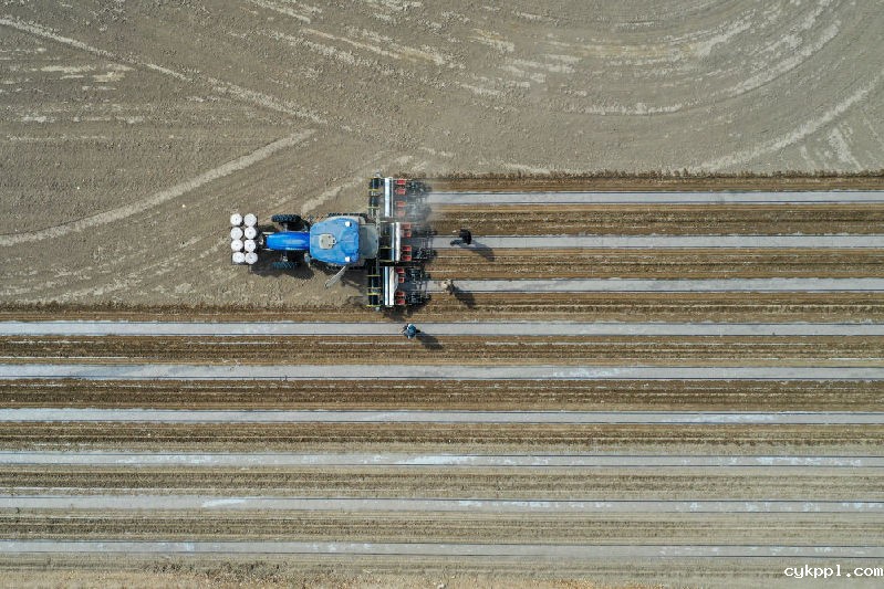 从“坎土曼”到“无人机”——田间地头看新疆高质量发展 从“坎土曼”到“无人机”——田间地头看新疆高质量发展