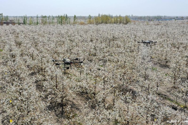 从“坎土曼”到“无人机”——田间地头看新疆高质量发展 从“坎土曼”到“无人机”——田间地头看新疆高质量发展