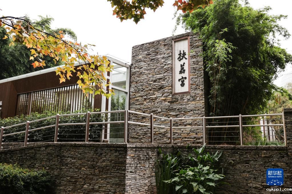 摄影师带你探访昆明植物园“扶荔宫”