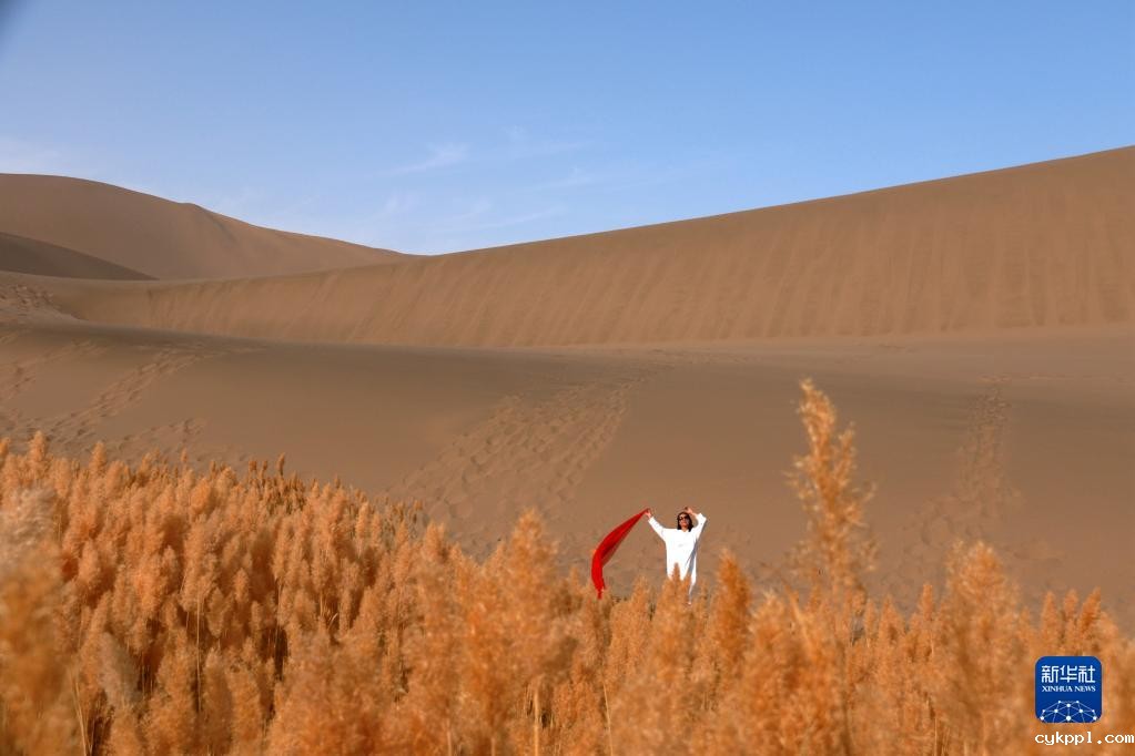 秋色润敦煌 大漠景如画