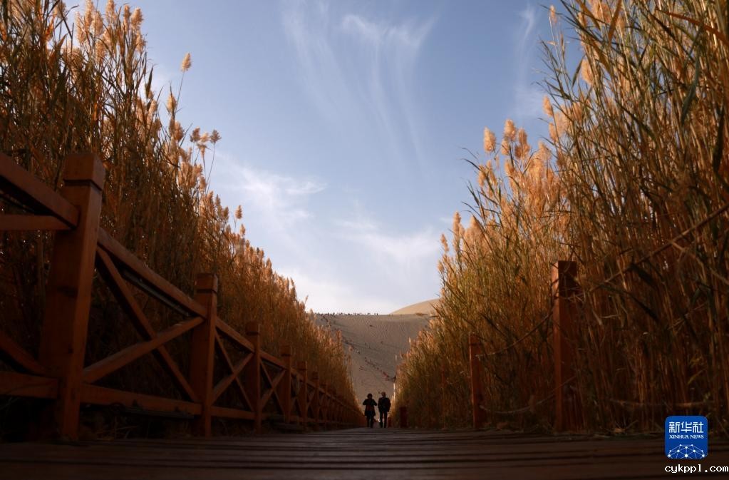 秋色润敦煌 大漠景如画