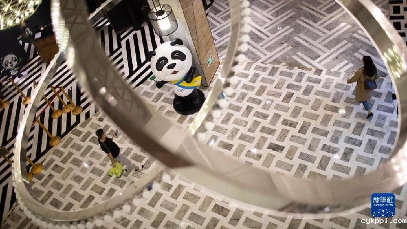 相约进博 魅力上海