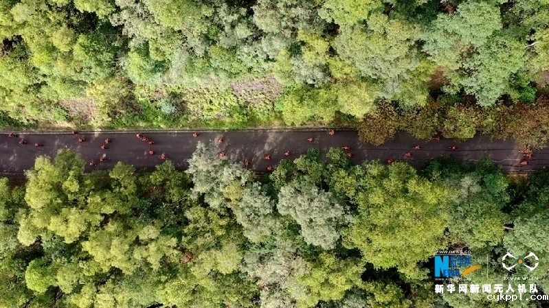 【“飞阅”中国】是谁在水火中展“十八般武艺”？